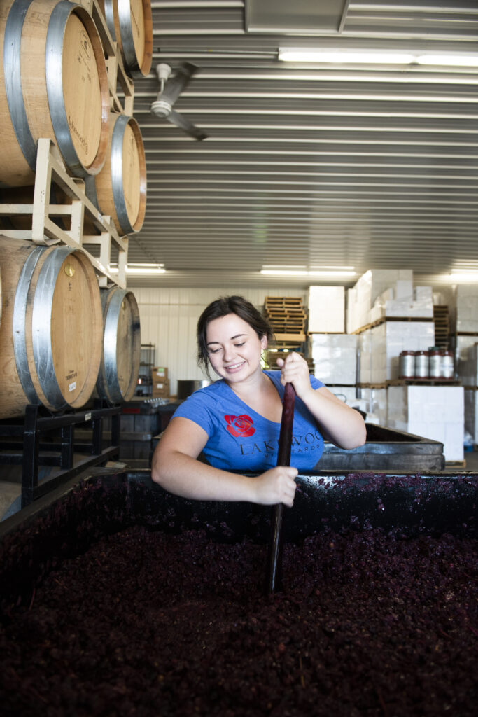 jaclyn stirring grapes in harvest bin